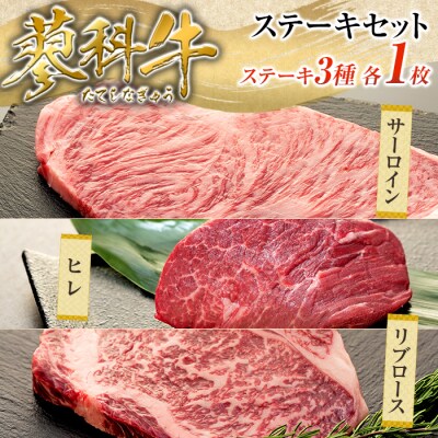 蓼科牛ステーキセット1(リブロース250g×1、サーロイン200g×1、ヒレ120g×1)
