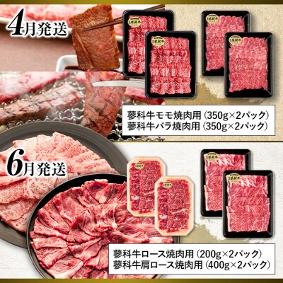 肉の定期便　蓼科牛を隔月(偶数月)に6回お届け
