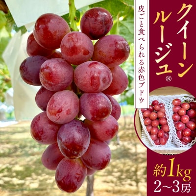 クイーンルージュ(約1kg、2～3房)　