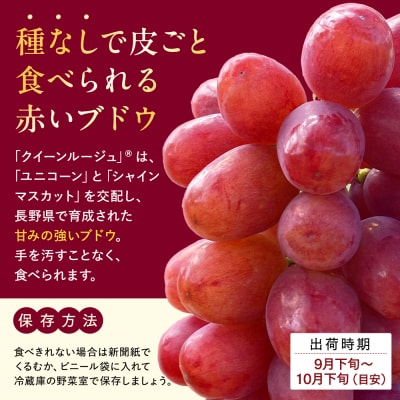 クイーンルージュ(約1kg、2～3房)　