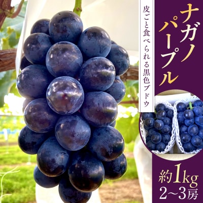ナガノパープル(約1kg、2～3房)　