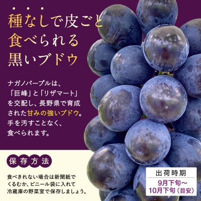 ナガノパープル(約1kg、2～3房)　