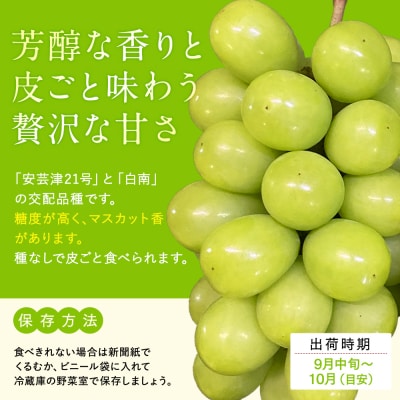 シャインマスカット(約1kg、2～3房)　