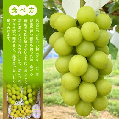 シャインマスカット(約1kg、2～3房)　