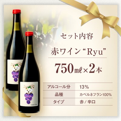 赤ワイン(”Ryu")2本セット