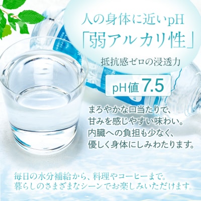 蓼科山の天然水 ミネラルウォーター 「Gosen水」 500ml×24本