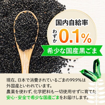 立科町産 黒ごま(炒り胡麻) 25g×2袋