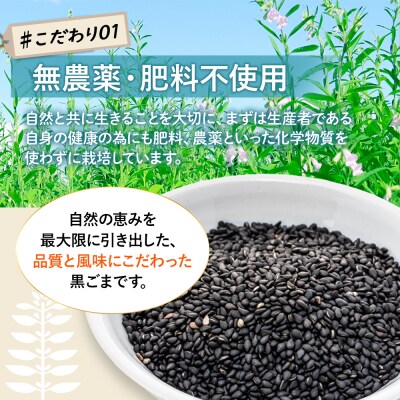  立科町産 黒ごま(炒り胡麻) 25g×5袋