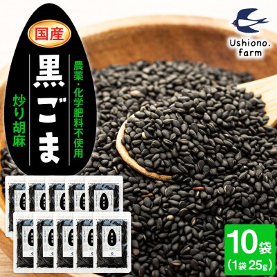 立科町産 黒ごま(炒り胡麻) 25g×10袋