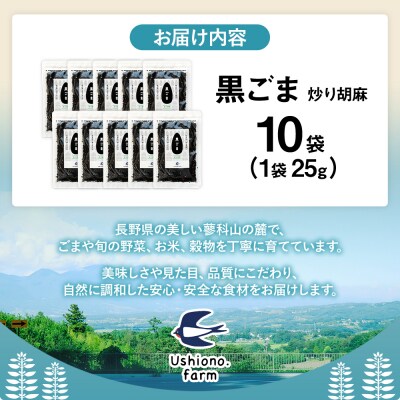 立科町産 黒ごま(炒り胡麻) 25g×10袋