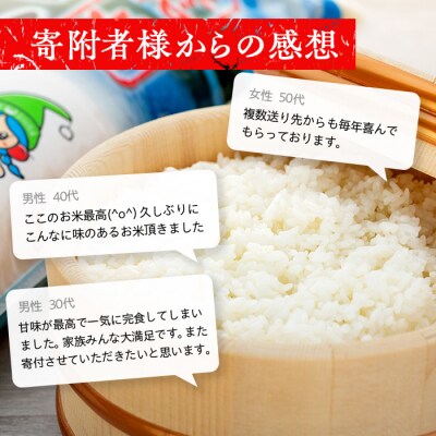 【令和9年2月発送】 信州立科産 コシヒカリ 10kg×1袋 (令和8年産米)