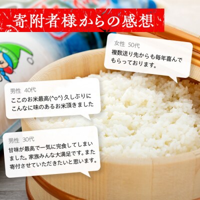  【令和9年2月発送】 信州立科産 コシヒカリ 5kg×2袋 (令和8年産米)