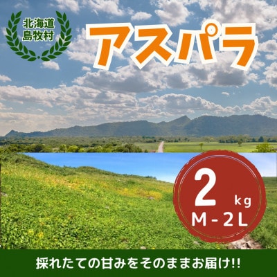 【先行予約・5月より順次発送】北海道島牧村産 アスパラガス 2kg(秀品) 坂下農園