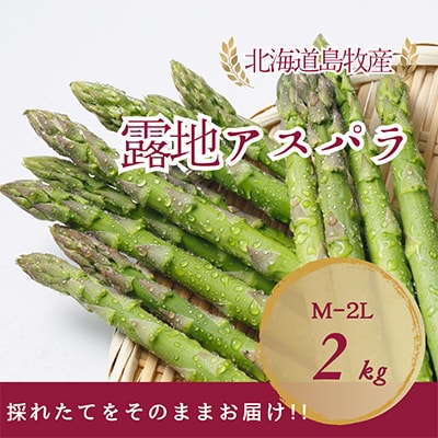 【先行予約・5月より順次発送】北海道島牧村産 アスパラガス 2kg(秀品) 坂下農園