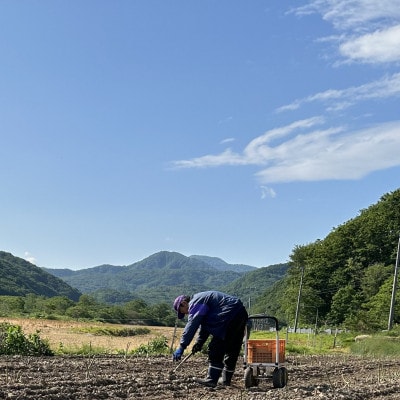 【先行予約・5月より順次発送】北海道島牧村産 アスパラガス 2kg(秀品) 坂下農園