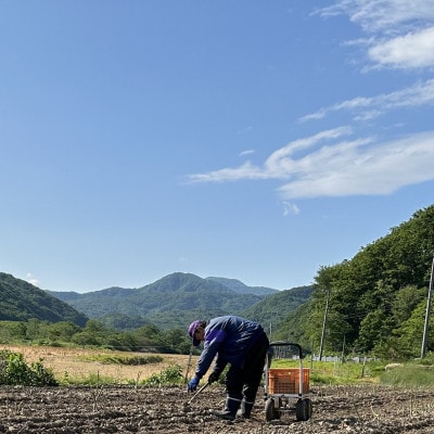 【先行予約・5月より順次発送】北海道島牧村産 訳ありアスパラガス 2kg 坂下農園