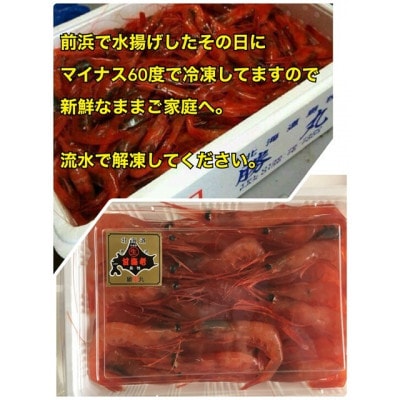 濃厚甘えび　北海道日本海甘えび【200g×4】