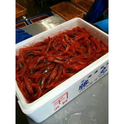 濃厚甘えび　北海道日本海甘えび【200g×4】