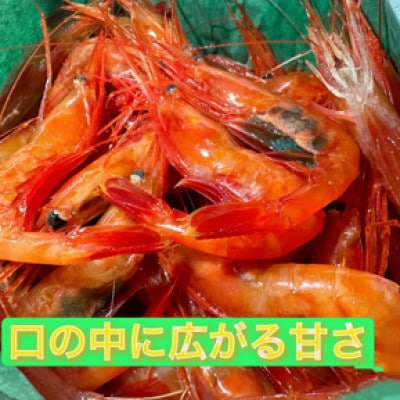 濃厚甘えび　北海道日本海甘えび【200g×4】
