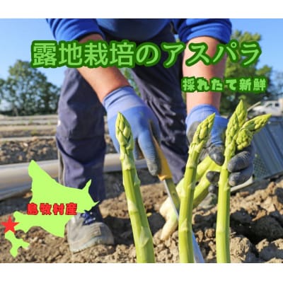 【先行受付2024年】数量限定! 5～6月発送　ML混合!　露地栽培のアスパラガス　1Kg