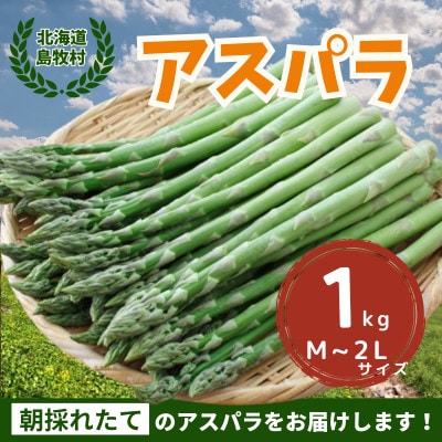 2025年5月中旬より順次発送 朝採りアスパラ【1kg】M-2L 北海道 露地栽培