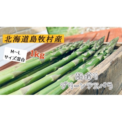 【先行予約】島牧村産露地栽培アスパラガス　1kg(M～Lサイズ混合)【2026年5月上旬～発送予定】