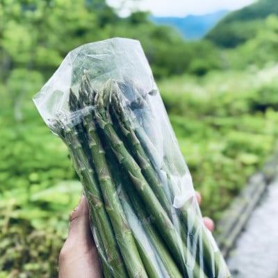 【先行予約】島牧村産露地栽培アスパラガス　1kg(M～Lサイズ混合)【2026年5月上旬～発送予定】