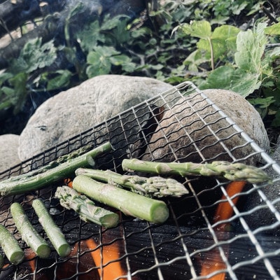 先行予約【訳あり】島牧村産アスパラガス 1kg(冷蔵便)【2026年5月上旬～発送予定】