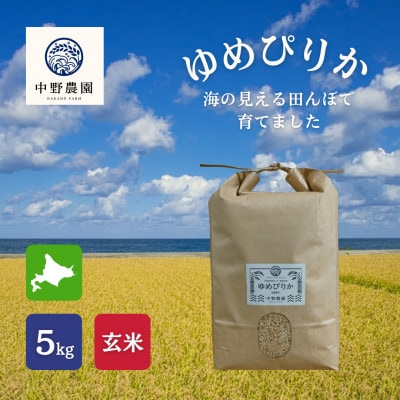 ゆめぴりか 玄米5kg【2025年産】