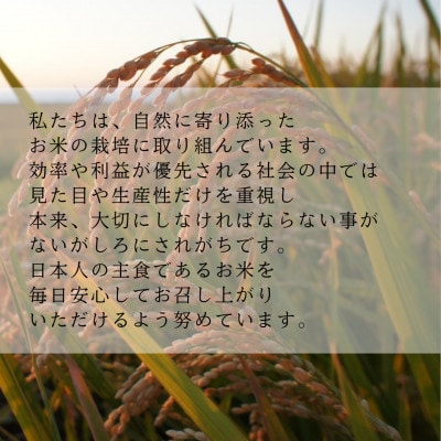 ゆめぴりか 白米5kg【2025年産】