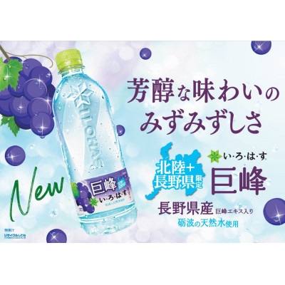 い・ろ・は・す 巨峰 540mlPET×24本