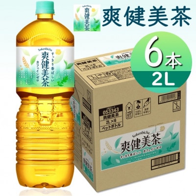 爽健美茶2.0LPET×6本