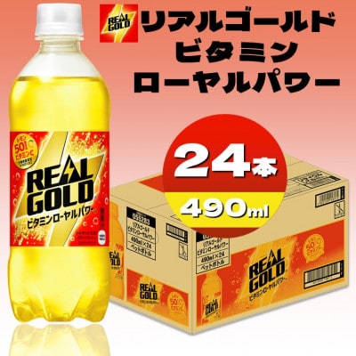 リアルゴールドビタミンローヤルパワー 490mlPET×24本