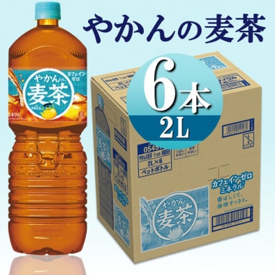 爽健美茶やかんの麦茶2.0LPET×6本