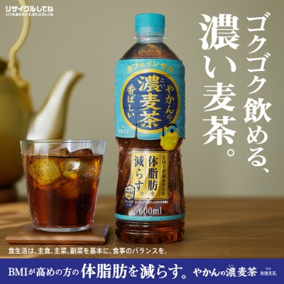 爽健美茶やかんの濃麦茶600mlPET×24本