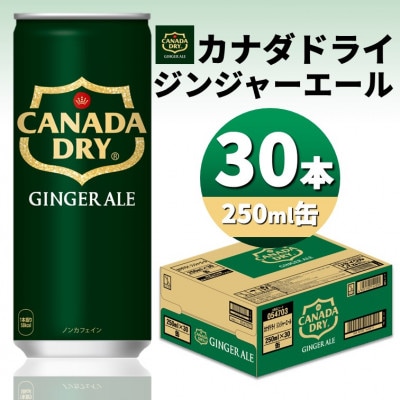 カナダドライジンジャーエール250ml缶×30本