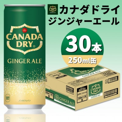 カナダドライジンジャーエール250ml缶×30本