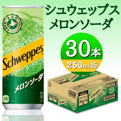 シュウェップスメロンソーダ―250ml缶