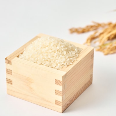 増山城御城印・戦国米(5kg)セット