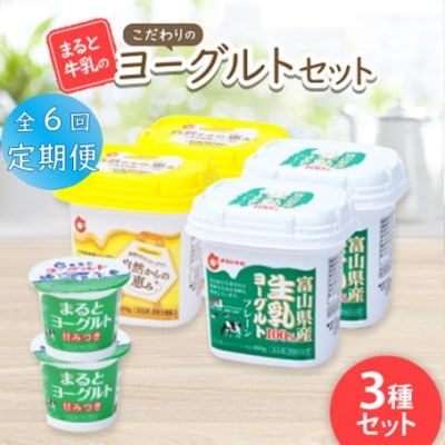 【毎月定期便】【まると牛乳】こだわりのヨーグルトセット全6回