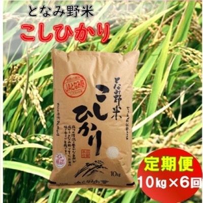 【毎月定期便】となみ野米こしひかり10kg全6回