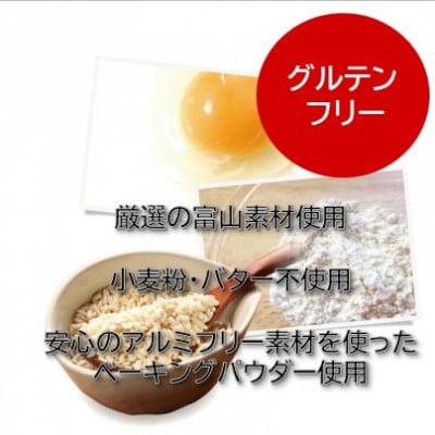 【グルテンフリー】焼き菓子セット10個入 高道フィナンシェ -よいもの富山- &ふわしとショコラ