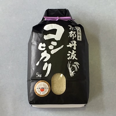 令和7年産 新米 京都丹波産 コシヒカリ 5kg 精米