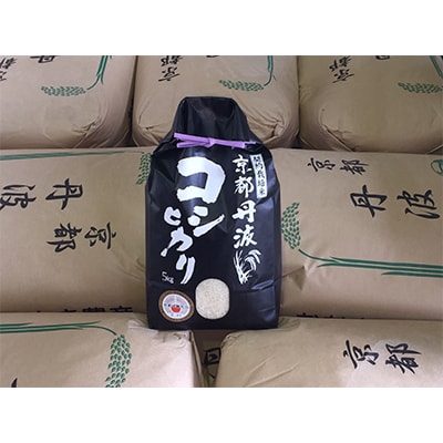 令和7年産 新米 京都丹波産 コシヒカリ 5kg 精米