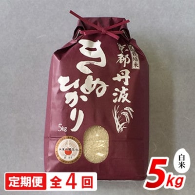 【毎月定期便】新米 京都丹波産 キヌヒカリ 5kg 精米全4回