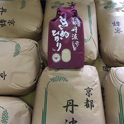 【毎月定期便】新米 京都丹波産 キヌヒカリ 5kg 精米全8回