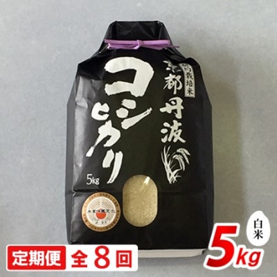 【毎月定期便】新米 京都丹波産 コシヒカリ 5kg 精米全8回