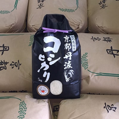 【毎月定期便】新米 京都丹波産 コシヒカリ 5kg 精米全8回