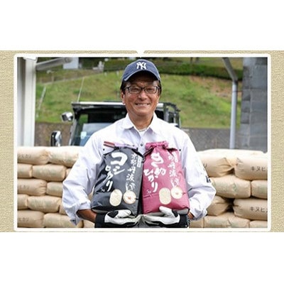 【毎月定期便】新米 京都丹波産 コシヒカリ 5kg 精米全8回