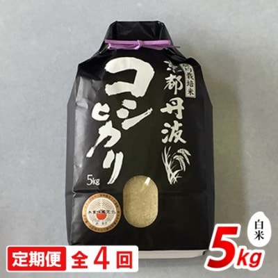 【毎月定期便】新米 京都丹波産 コシヒカリ 5kg 精米全4回